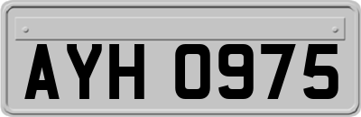 AYH0975