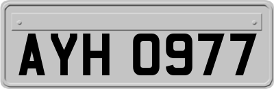 AYH0977