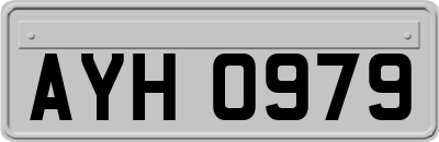 AYH0979