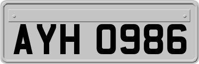 AYH0986