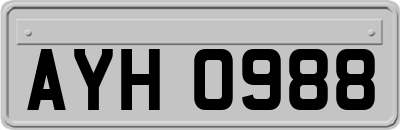 AYH0988