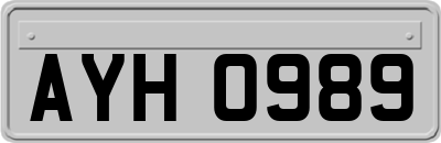 AYH0989