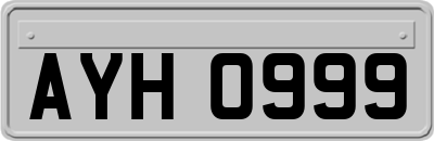 AYH0999