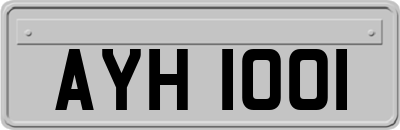 AYH1001