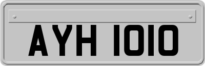 AYH1010