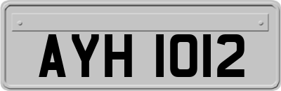 AYH1012