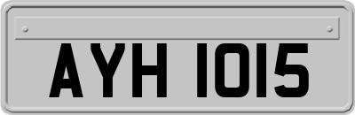 AYH1015