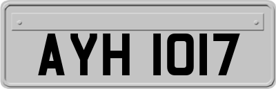 AYH1017