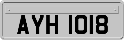 AYH1018