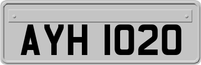 AYH1020