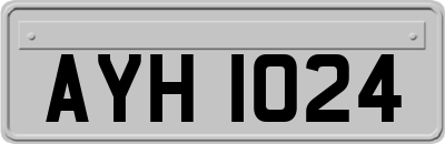AYH1024