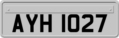 AYH1027