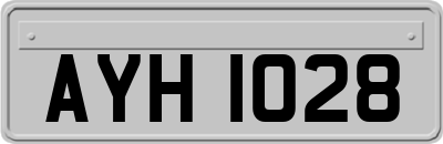 AYH1028