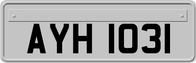 AYH1031