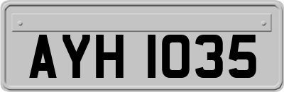 AYH1035