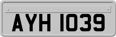 AYH1039