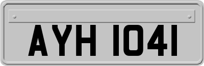 AYH1041