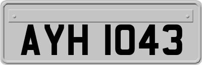 AYH1043