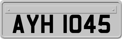 AYH1045