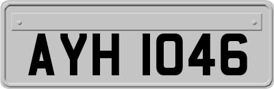 AYH1046
