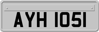 AYH1051