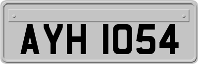 AYH1054