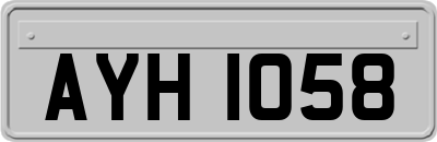 AYH1058