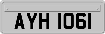 AYH1061