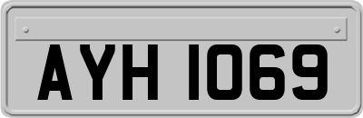 AYH1069
