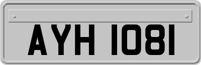 AYH1081
