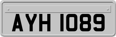 AYH1089