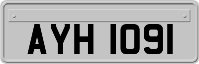 AYH1091