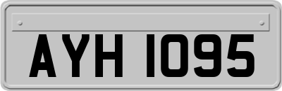 AYH1095