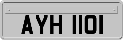 AYH1101