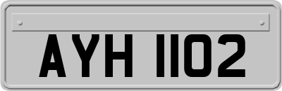 AYH1102