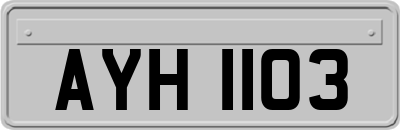 AYH1103