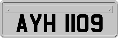AYH1109