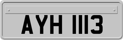 AYH1113