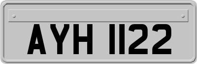 AYH1122