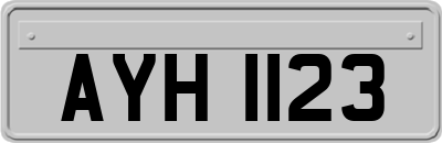 AYH1123