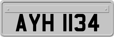 AYH1134