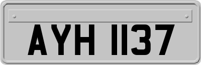 AYH1137