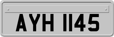AYH1145
