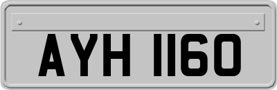 AYH1160