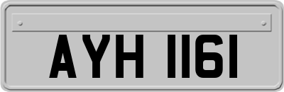 AYH1161