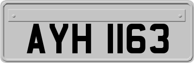 AYH1163