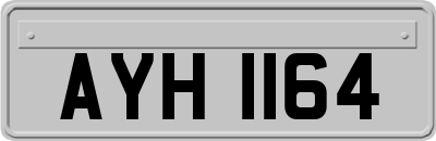 AYH1164