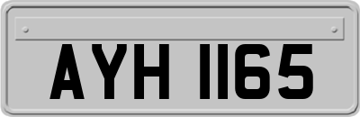 AYH1165