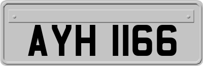 AYH1166