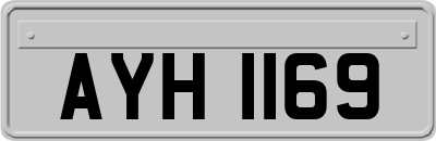 AYH1169